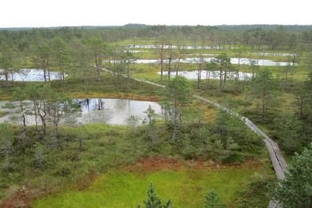 Parcul National Lahemaa, Estonia